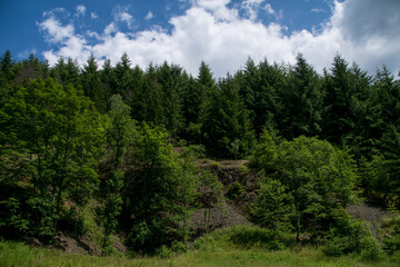 Fototapeta na wymiar Landscape in the german area called Nitzelbachtal