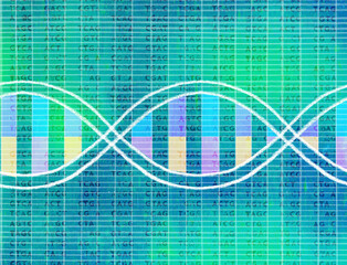 DNA helix with GATC Background