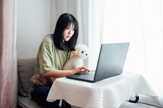 Young woman using laptop with her pet dogs