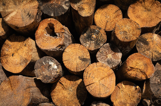 Stack of Wood