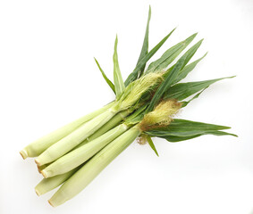 Obraz premium ヤングコーン