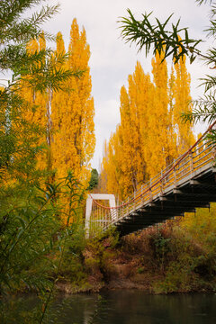 Suspension bridge