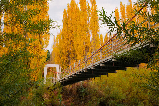 Single lane suspension bridge