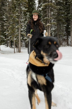 Dog Running At Camera On Leash