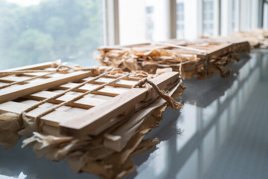 Plant dried specimens are being made