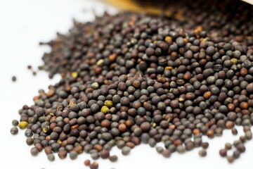 Micro-green, black small seeds, eco-food