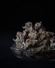 Dried untrimmed cannabis buds and flowers. Orange and purple marijuana buds