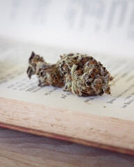 Cannabis buds on a vintage dictionary with light background