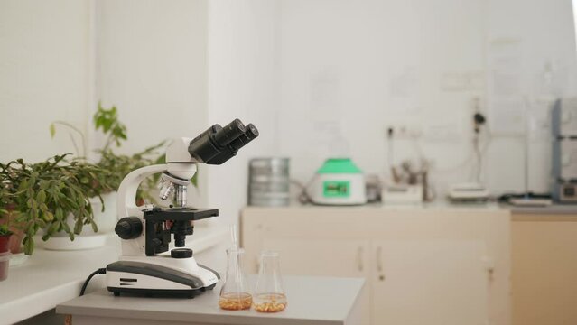 Food laboratory with microscope and grain in tubes with pipette. Lab equipment with copyspace.