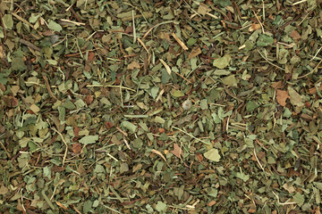 Lungwort herb leaf background. Herbal plant medicine to treat lung diseases, breathing conditions. Remedy for stomach, intestinal, kidney, urinary tract problems. Pulmonaria. 