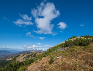 Autumn morning Carpathian Mountains calm picturesque scene, Ukraine.