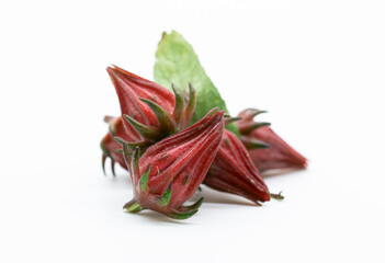 fresh Roselle fruit isolated on white background.