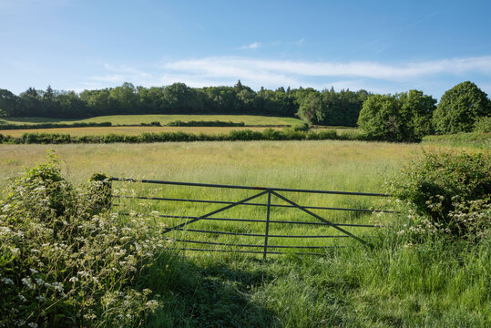 Beautiful vibrant Summer landscape image of typical English countryside
