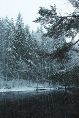 River in a misty winter morning