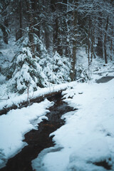 Small stream in a snowy forest