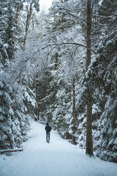 Person hiking in a snowy forest