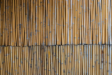 Bamboo wall background architecture.