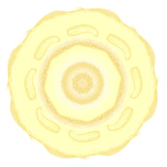 yellow glimmer mandala pattern