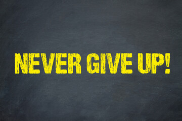 Never give up! - obrazy, fototapety, plakaty