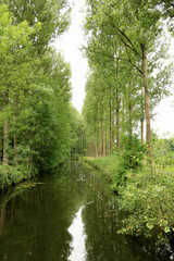 water, trees and nature in Wachtebeke, Belgium