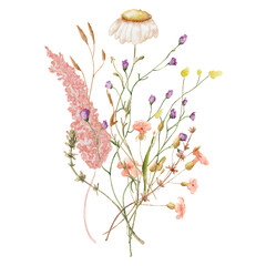 Wild flowers watercolor bouquet botanical hand drawn illustration