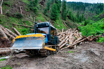 truck in the forest