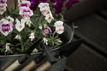 tools and flowers