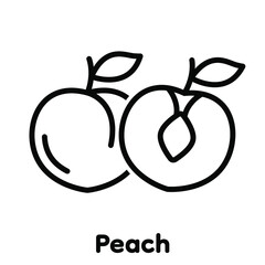 Peach linear icon, Vector, Illustration.