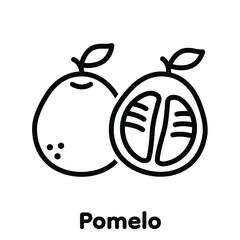 Pomelo fruit linear icon, Vector, Illustration.
