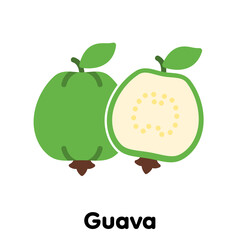 Guava fruit icon, Vector, Illustration.