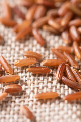 closeup of raw red rice seeds on sack