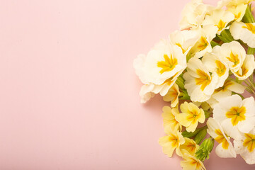 Frame of spring flowers on pink background. Flat lay, top view. Spring time background.