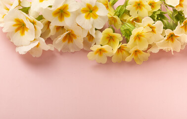 Frame of spring flowers on pink background. Flat lay, top view. Spring time background.