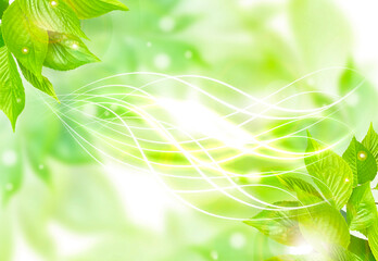 夏の新緑　木洩れ日とキラキラ光り