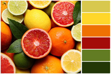 Color palette and different ripe citrus fruits, top view. Collage