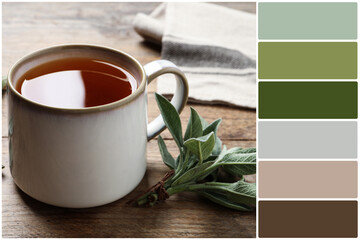 Color palette and cup of aromatic sage tea and fresh leaves on wooden table. Collage