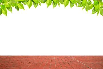 夏の新緑とレンガタイルの床　背景素材