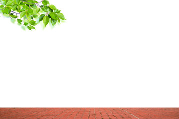 夏の新緑とレンガタイルの床　背景素材