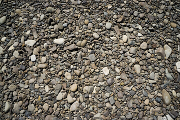 The stones shine through the clear water.