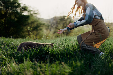A woman plays a game with her little dog on the green grass in a field in the sunny evening light of nature. The concept of caring for animals and harmony with nature