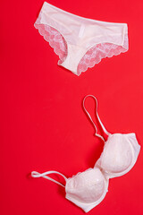 Underwear panties and bra on a red background, a place for text