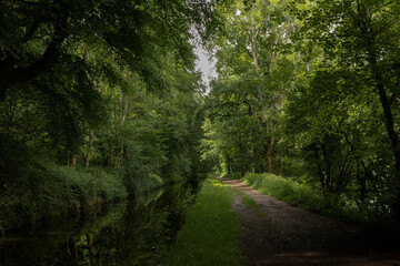 Fototapeta na wymiar A footpath runs directly parallel with a canal through the Welsh countryside. lush green verdant trees grow in abundance in the pleasant natural surroundings of the Brecon and Monmouth canal
