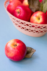 Vertical format of red sweet seasonal garden homegrown apples on blue background.