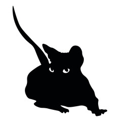 Silhouette of lying Sphynx cat on white background