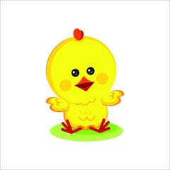 Cute yellow chick on white background