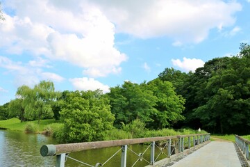 新緑が気持ち良い　橋　初夏の青空　癒しの風景　古河