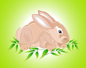 Vector illustration of rabbit isolated on green background