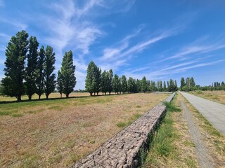 Taking a walk through johannisthal 