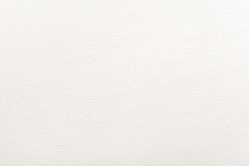 White leather texture background. Skin pattern for manufacturing of luxury shoes, clothes, bags and fashion.