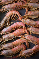 Large langoustine king shrimp on a dark vertical background.